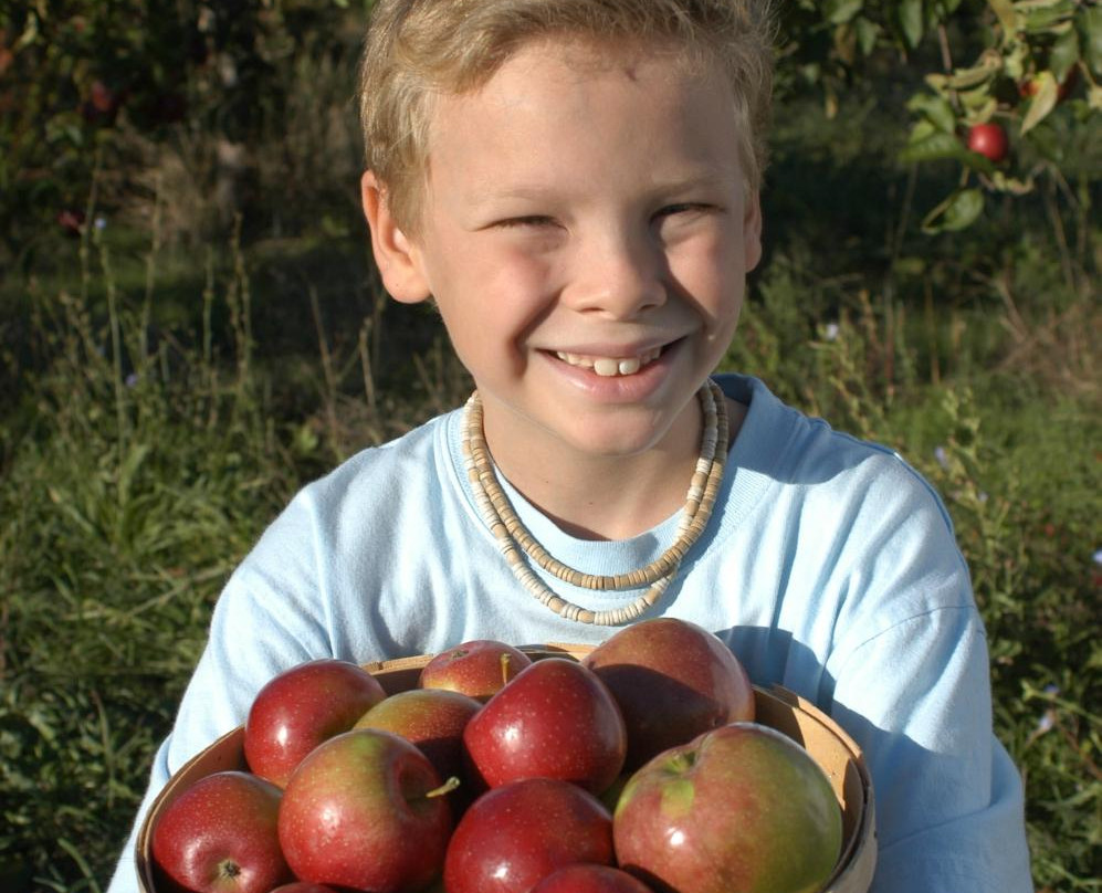 Lyman Orchards-Middlefield必去景点