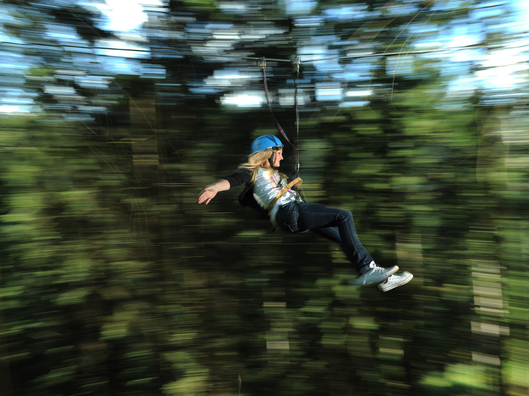 Hirschgrund - Zipline Area Schwarzwald-希尔塔赫必去景点