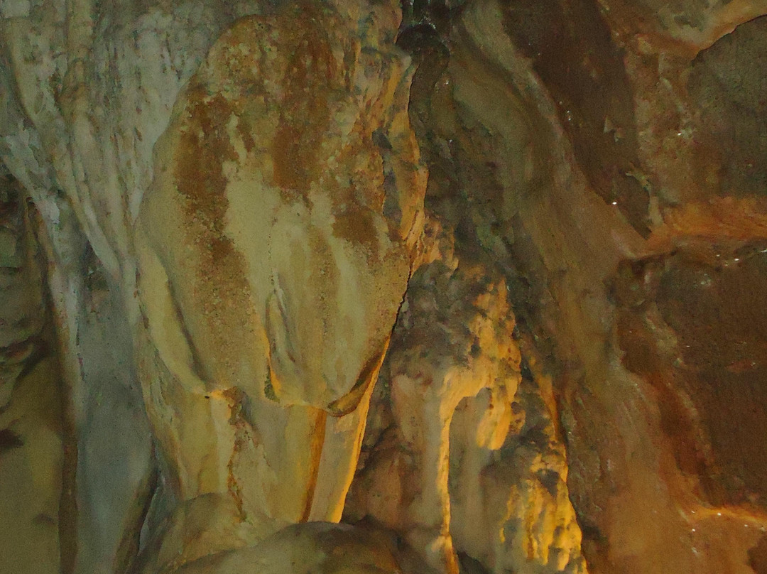 Cueva de las Güixas景点图片