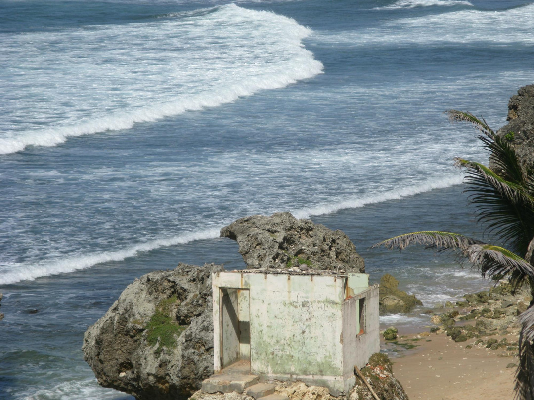 Caribbean Motorcycle Guided Tours-布里奇顿必去景点