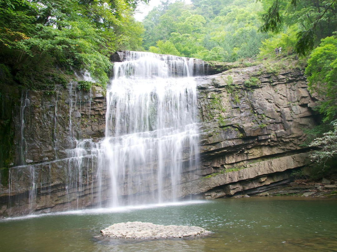 黎坪森林公园景点图片