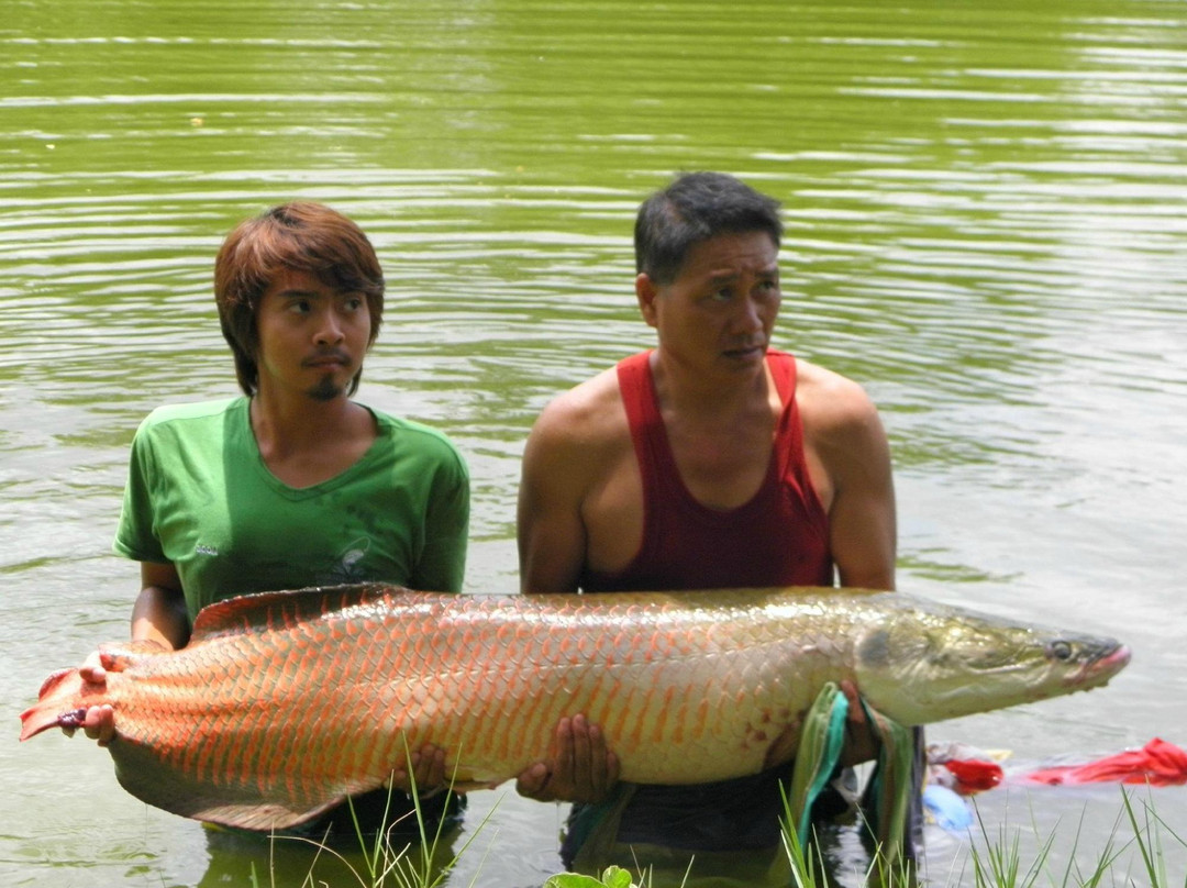 Sport Fishing Specimen lake 2景点图片