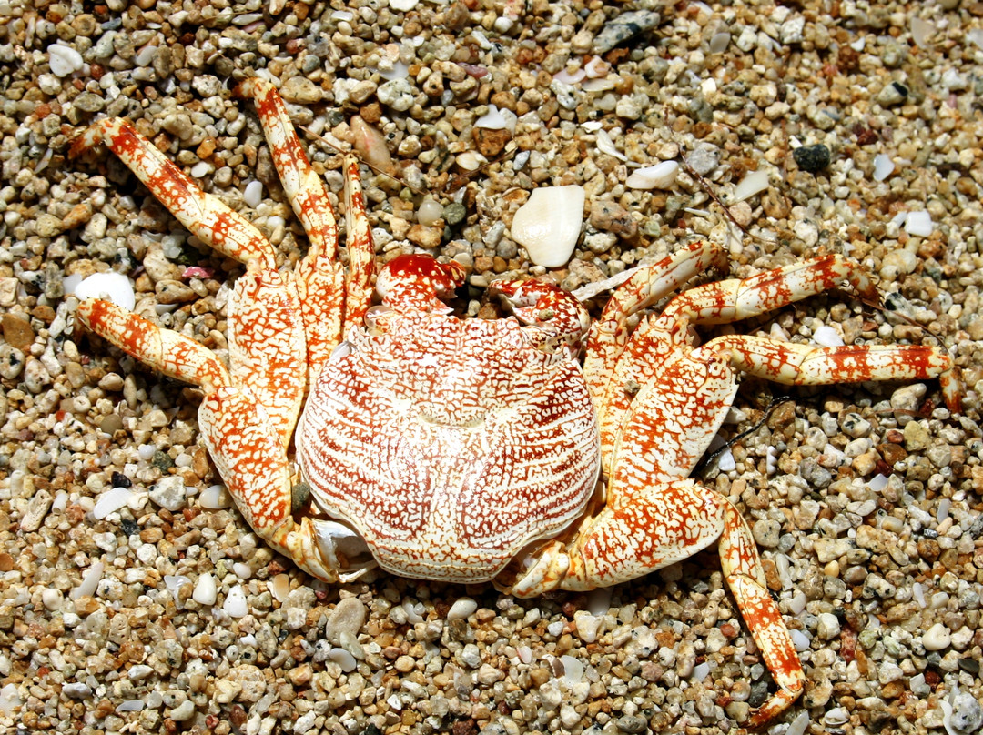 Balneario Sun Bay-Puerto Real必去景点