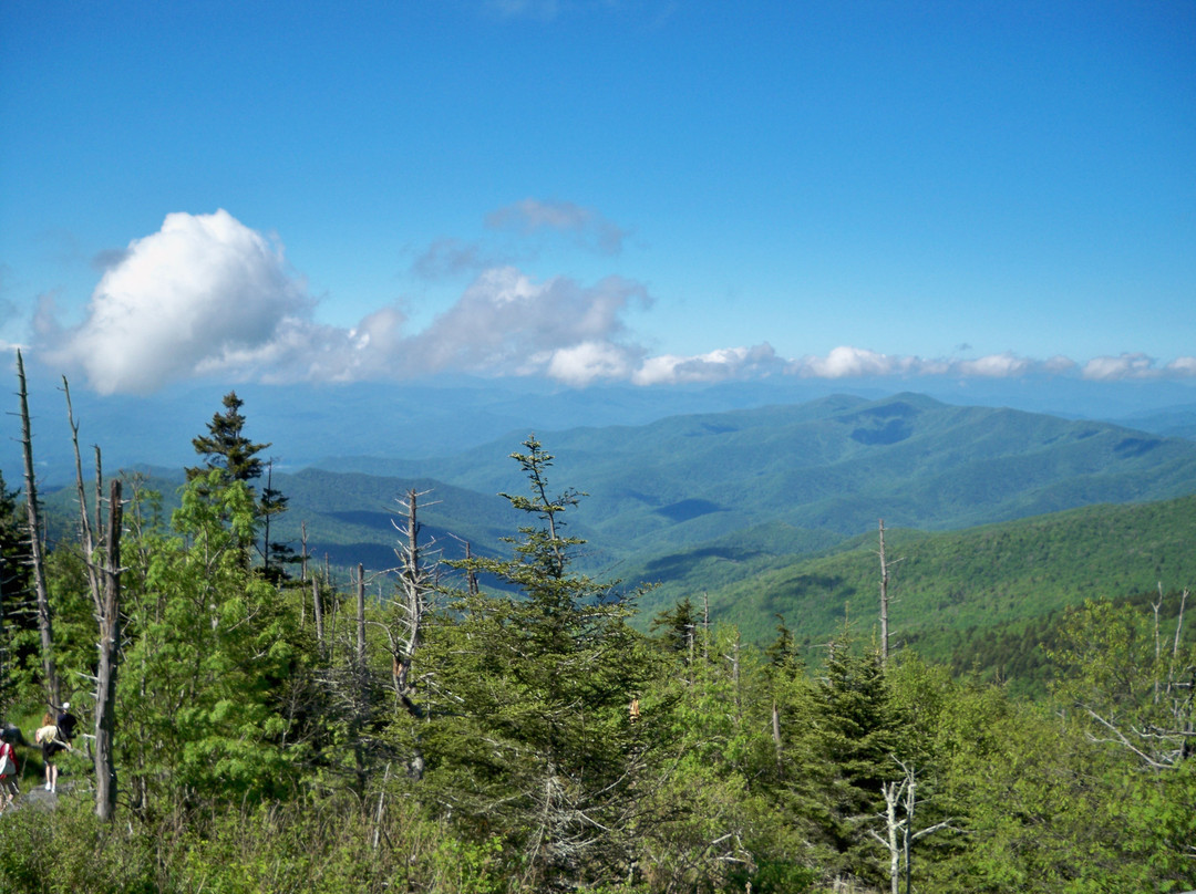 Kuwohi-大雾山国家公园必去景点