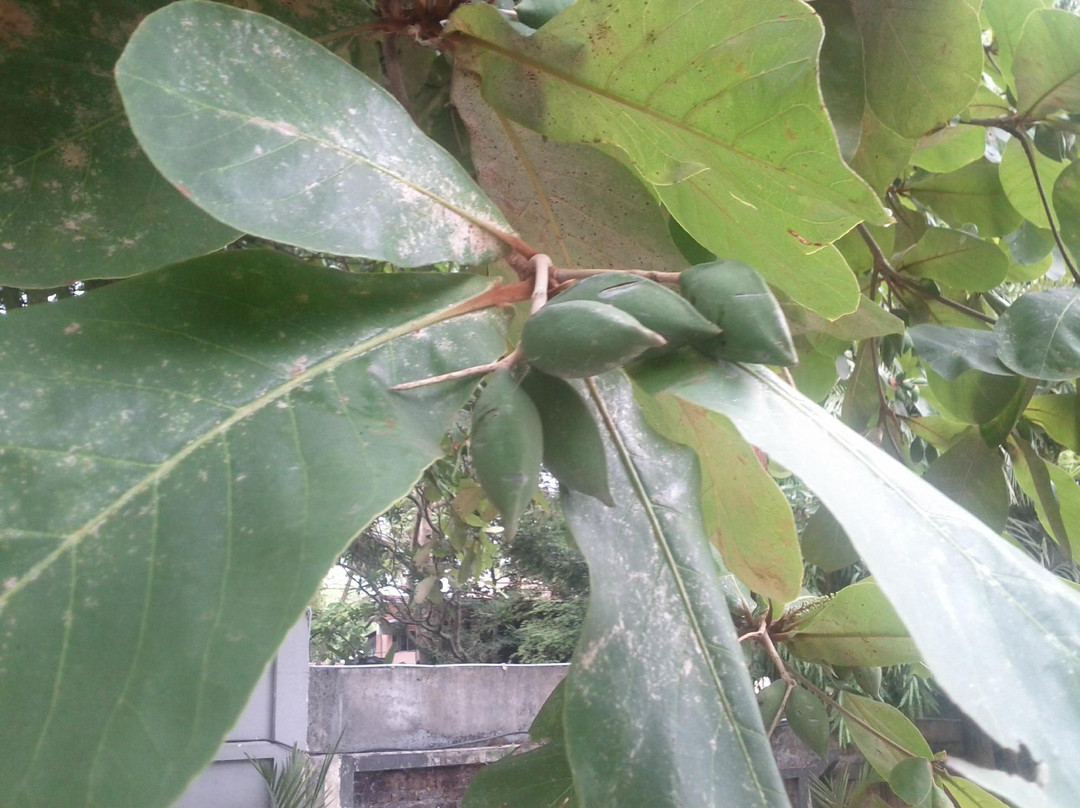 Hotel Fort Palace主图