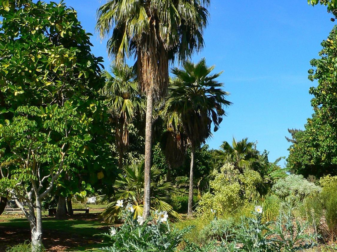 Maui Nui Botanical Gardens-卡胡卢伊必去景点