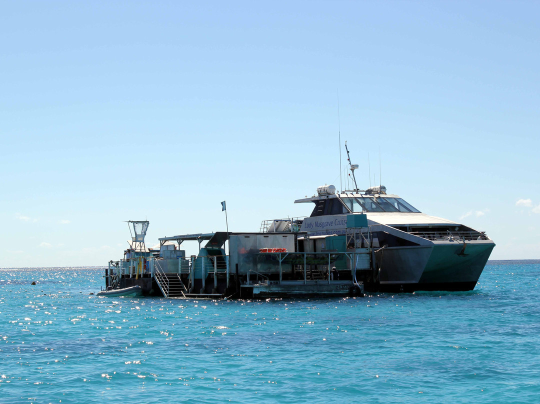 Lady Musgrave Cruises-1770镇必去景点
