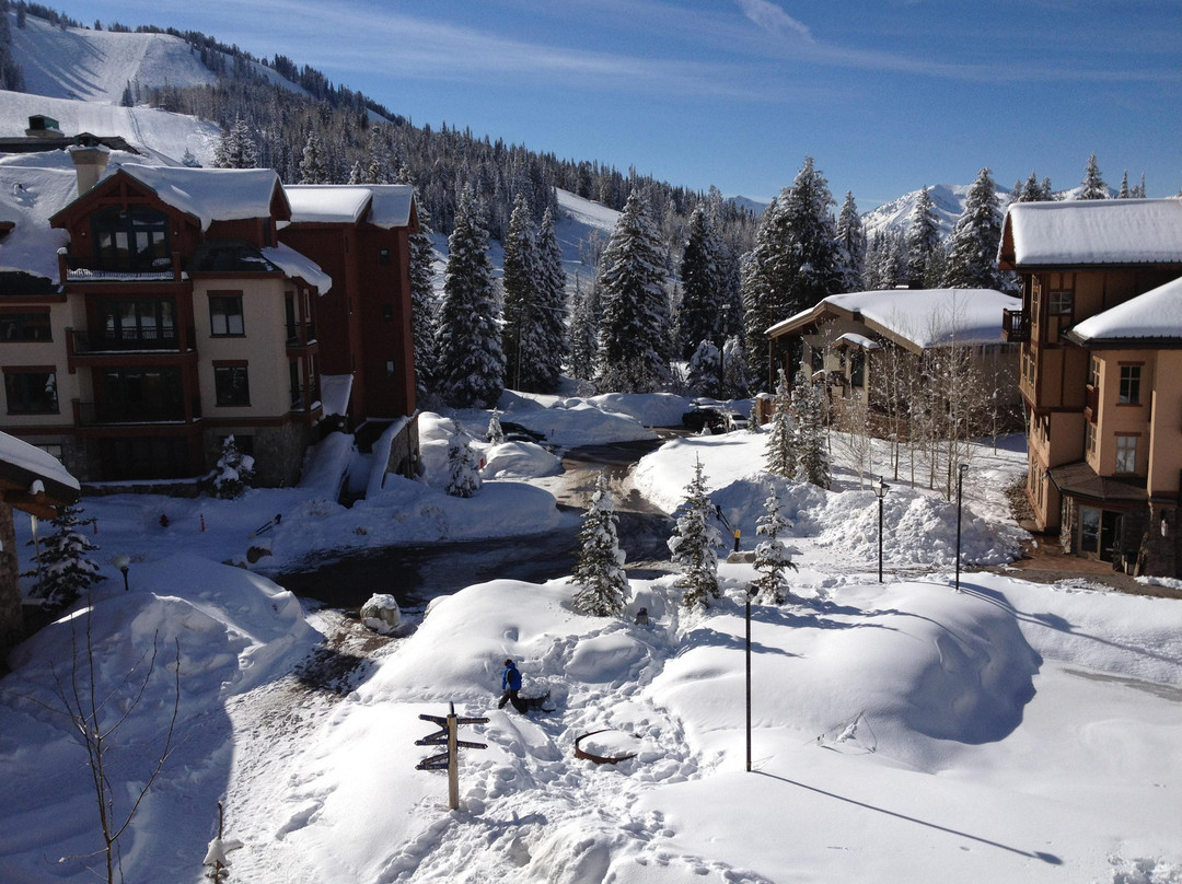 Moonbeam Lodge