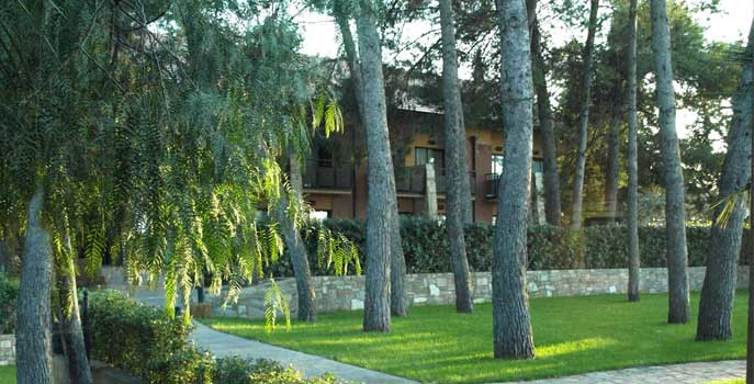 Hotel Portal del Caroig主图