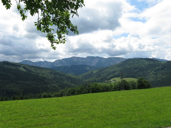 Schoeberingerhof Gasthof主图