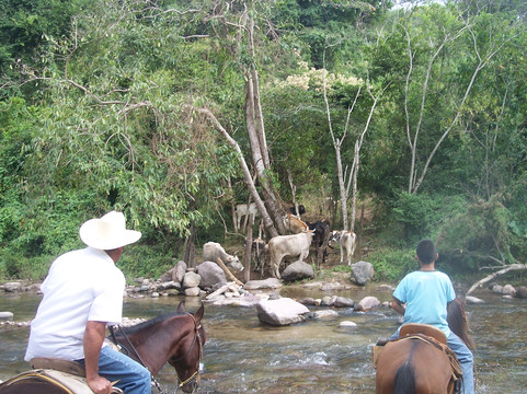 Rancho El Charro-瓦拉塔港必去景点