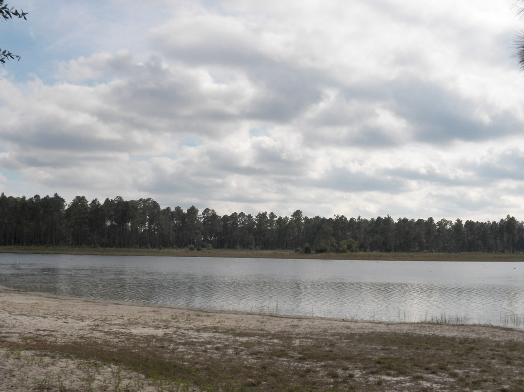 Ocala National Forest-Umatilla必去景点