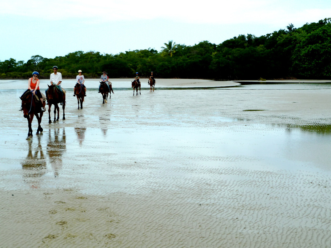 Cape Trib Horse Rides-Cape Tribulation必去景点