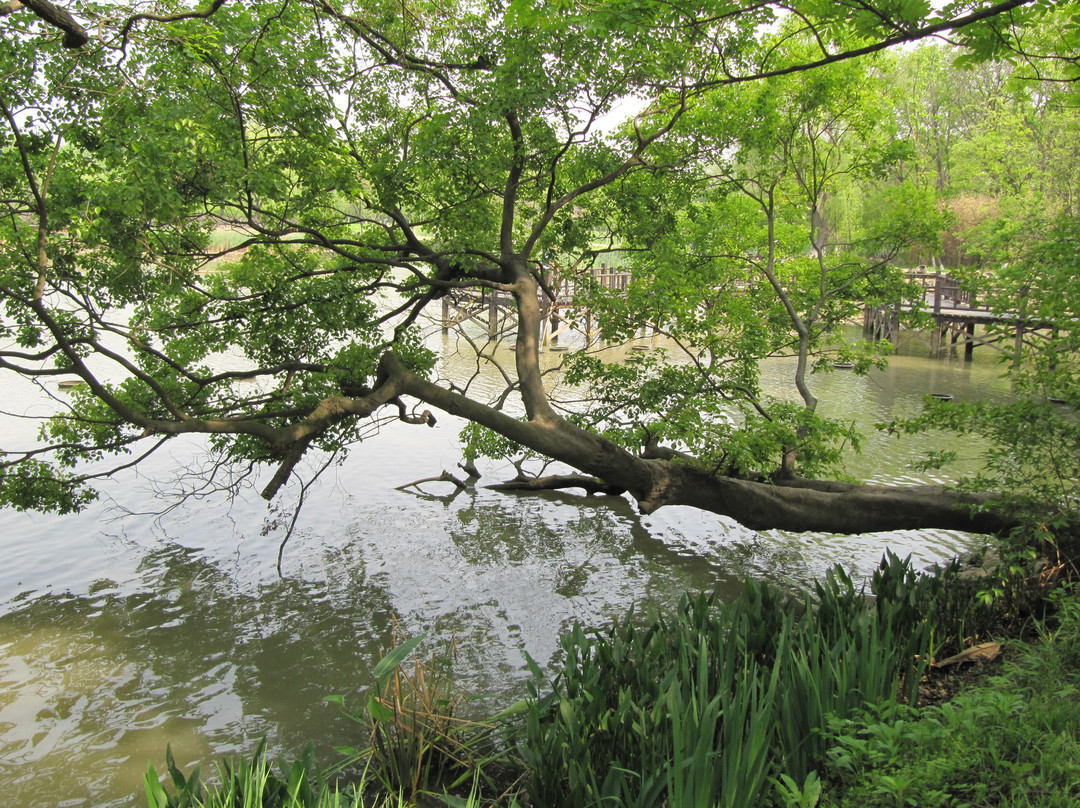 淹城遗址-常州市必去景点