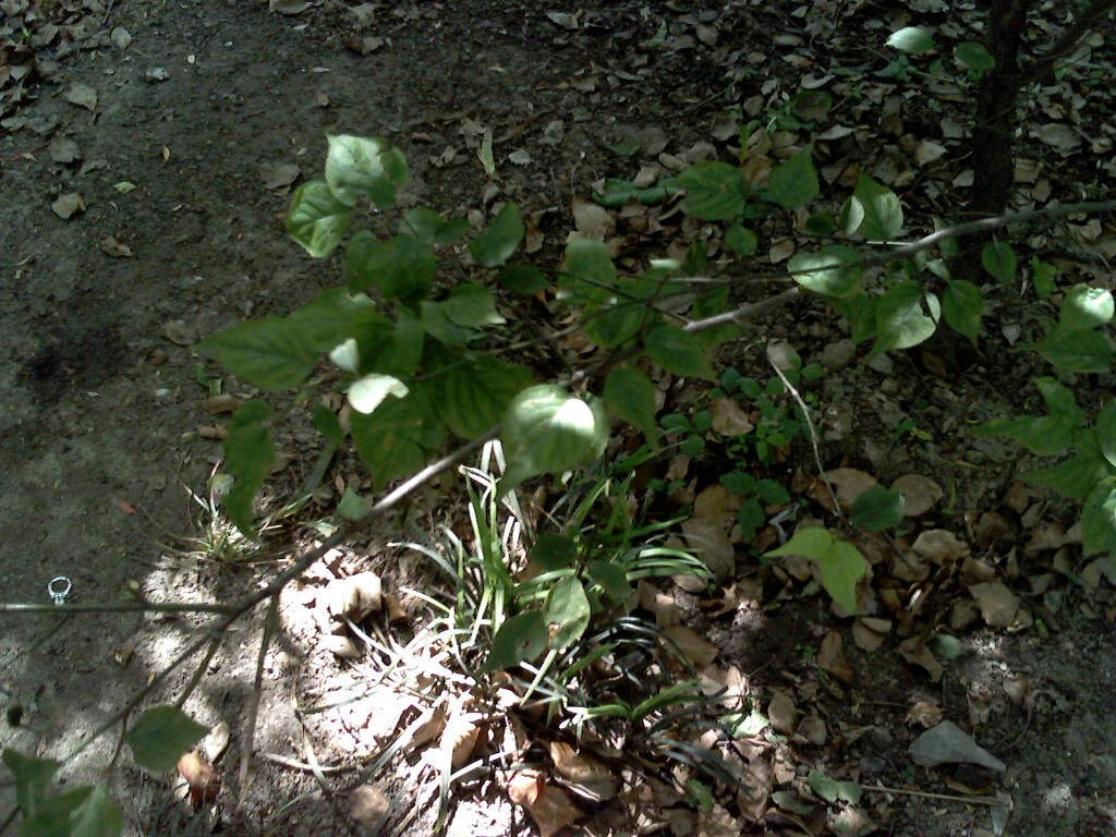 文峰公园-南通市必去景点