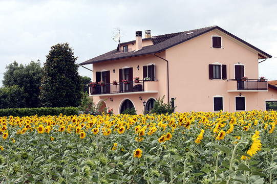 Ospedalicchio酒店住宿-B&B Laura