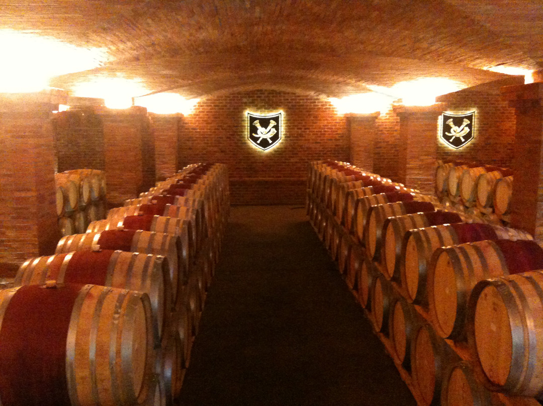 La Motte Wine Estate-法兰舒克必去景点