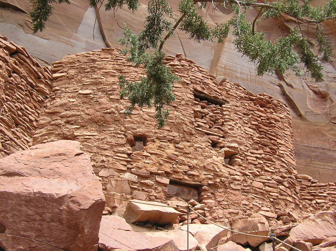 Palatki Ruins-塞多纳必去景点