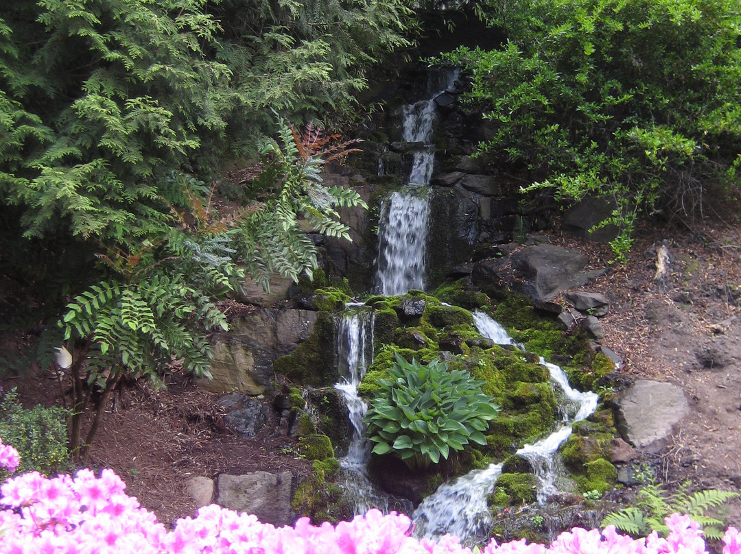 Crystal Springs Rhododendron Garden-波特兰必去景点