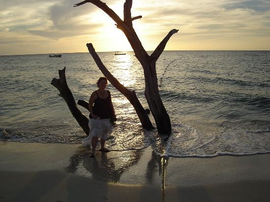 Lost Beach Resort主图