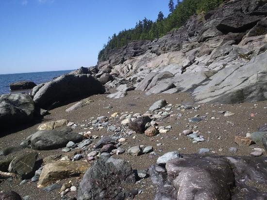 Fundy National Park景点图片