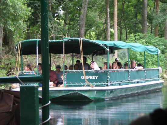 Silver Springs State Park-Silver Springs必去景点