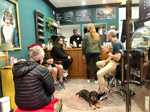 Taybo Bagels & Coffee