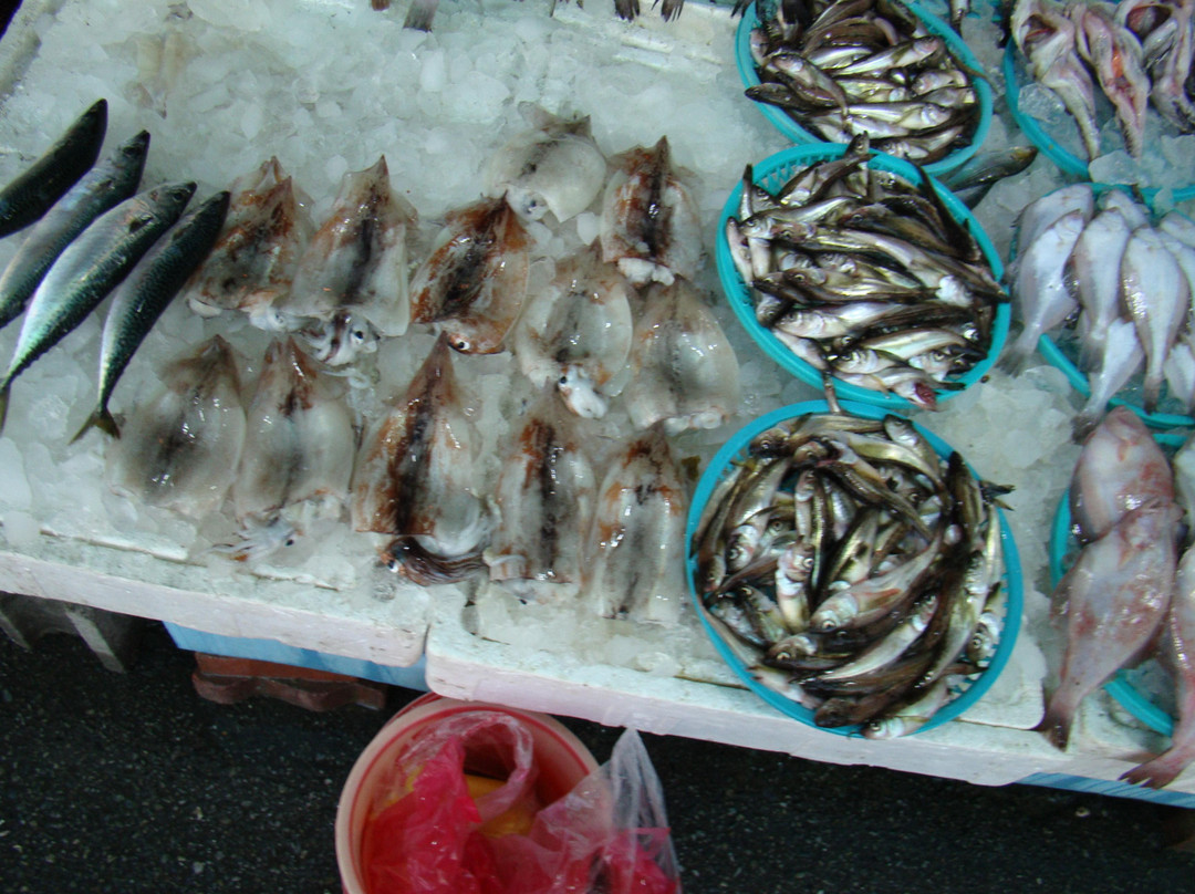 Mukho Port-东海市必去景点
