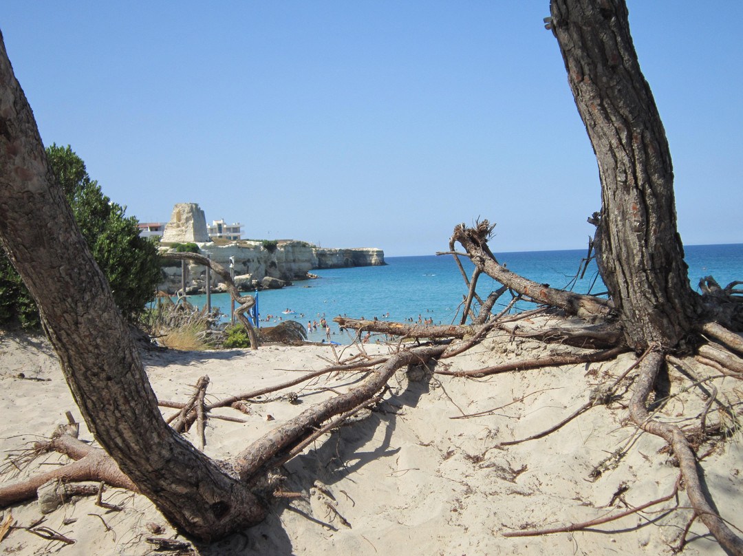 Torre dell'Orso Beach-Torre dell'Orso必去景点