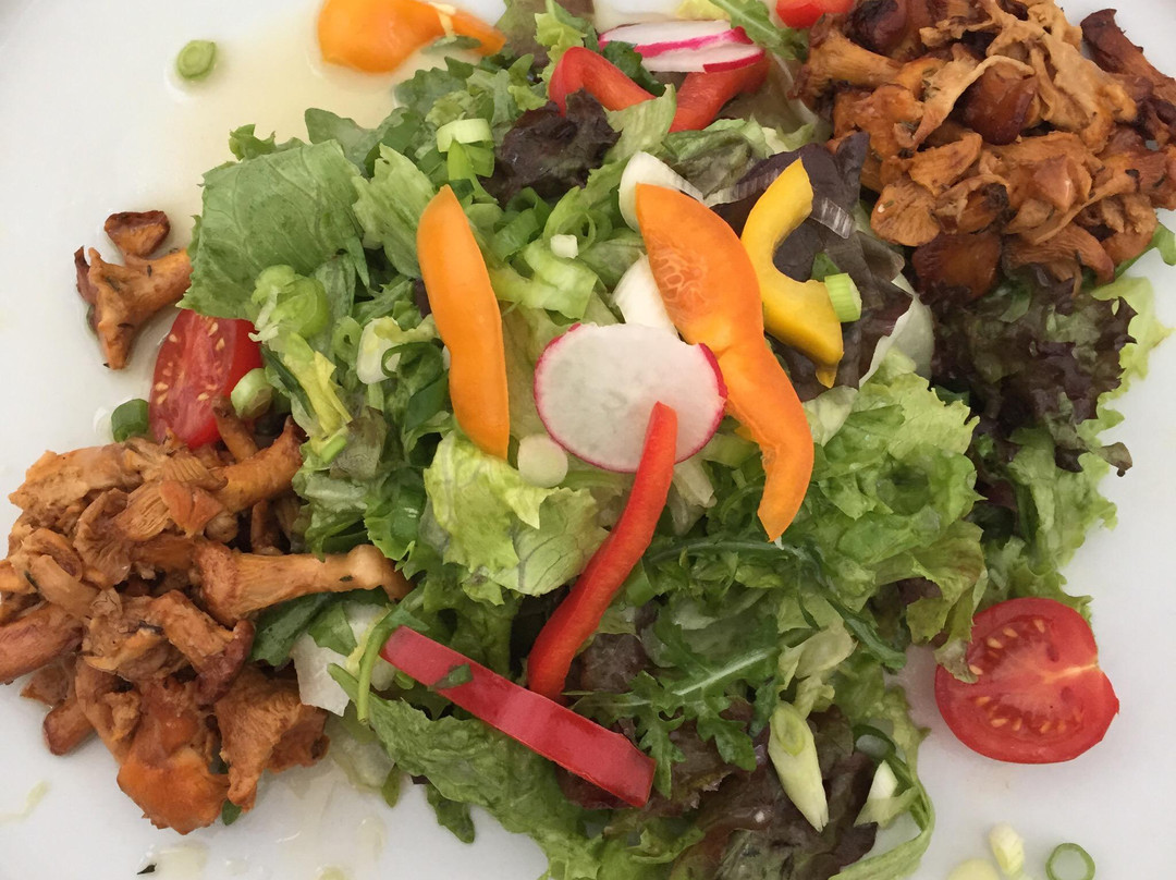 Hoersching餐馆和美食-Schloss Traun