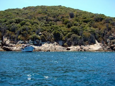 Ilha dos Porcos-阿拉伊阿尔港必去景点