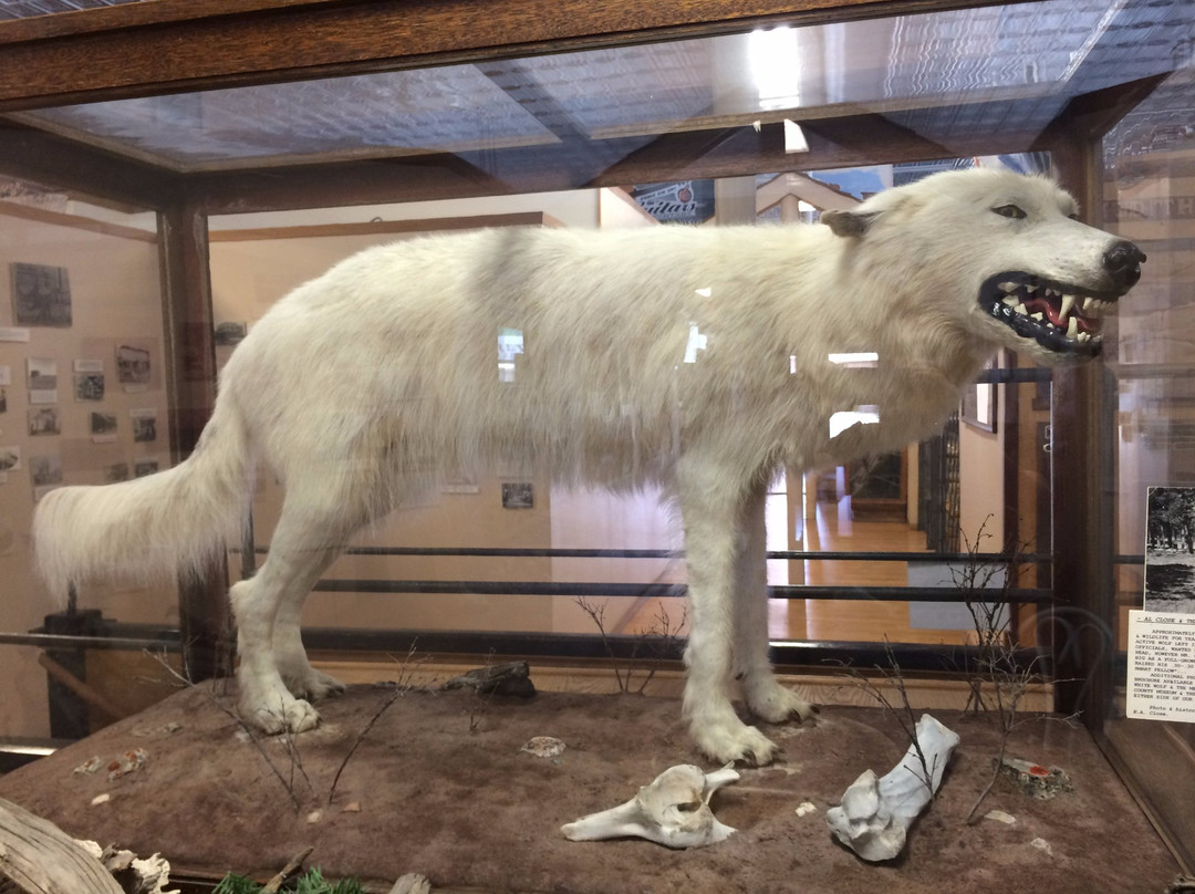 Geyser餐馆和美食-Dauna's Deli