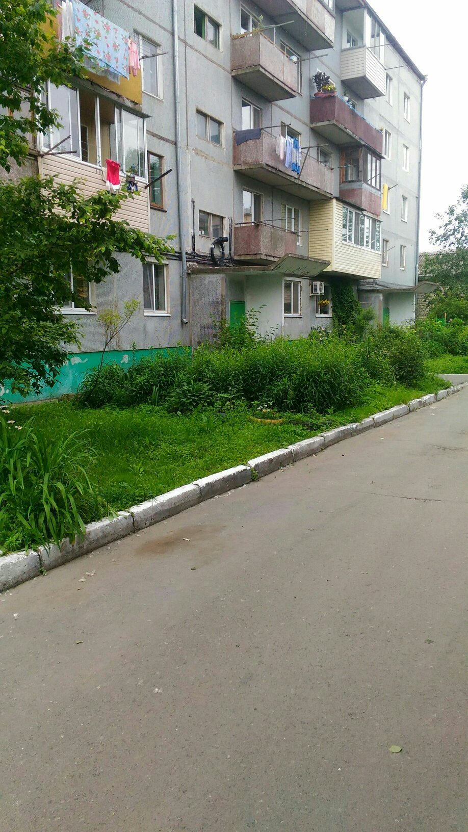 Volna-官方