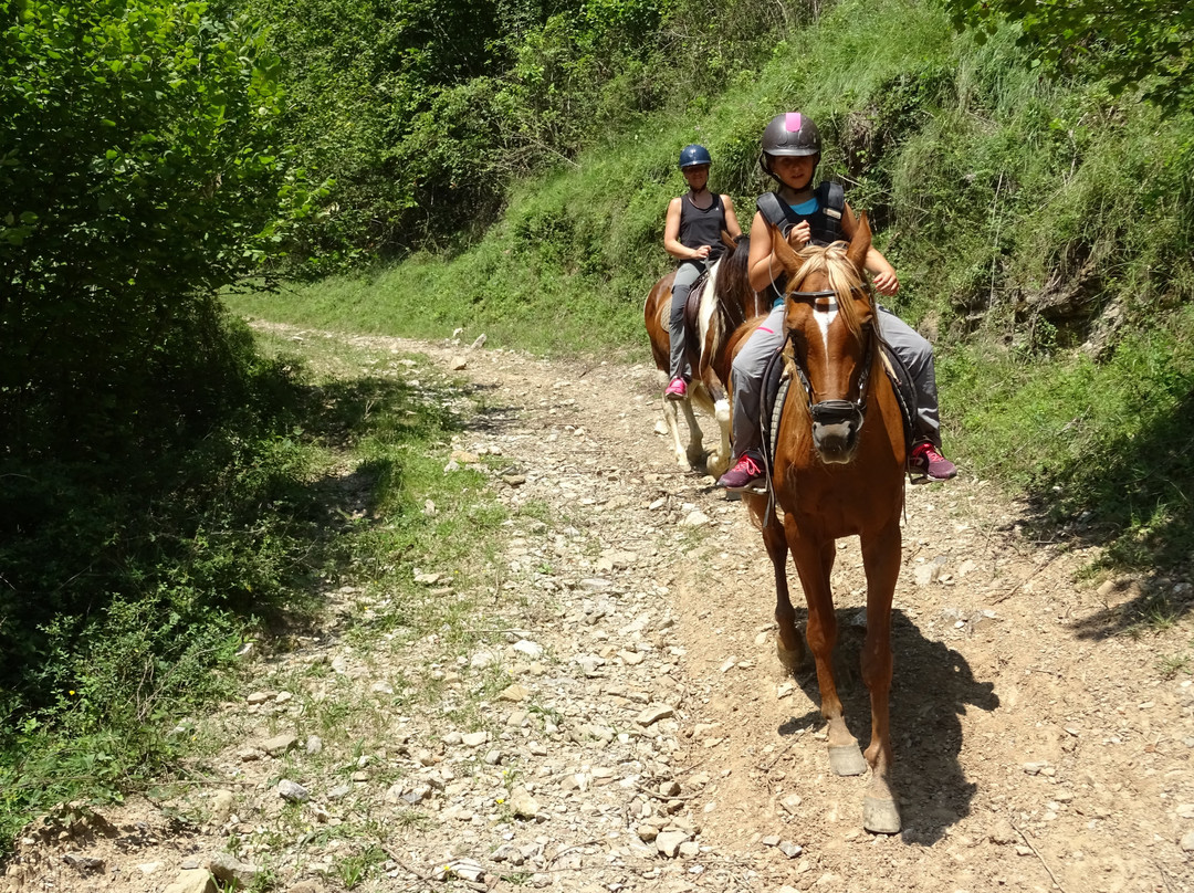TRAC Terápies I Rutes Amb Cavall景点图片
