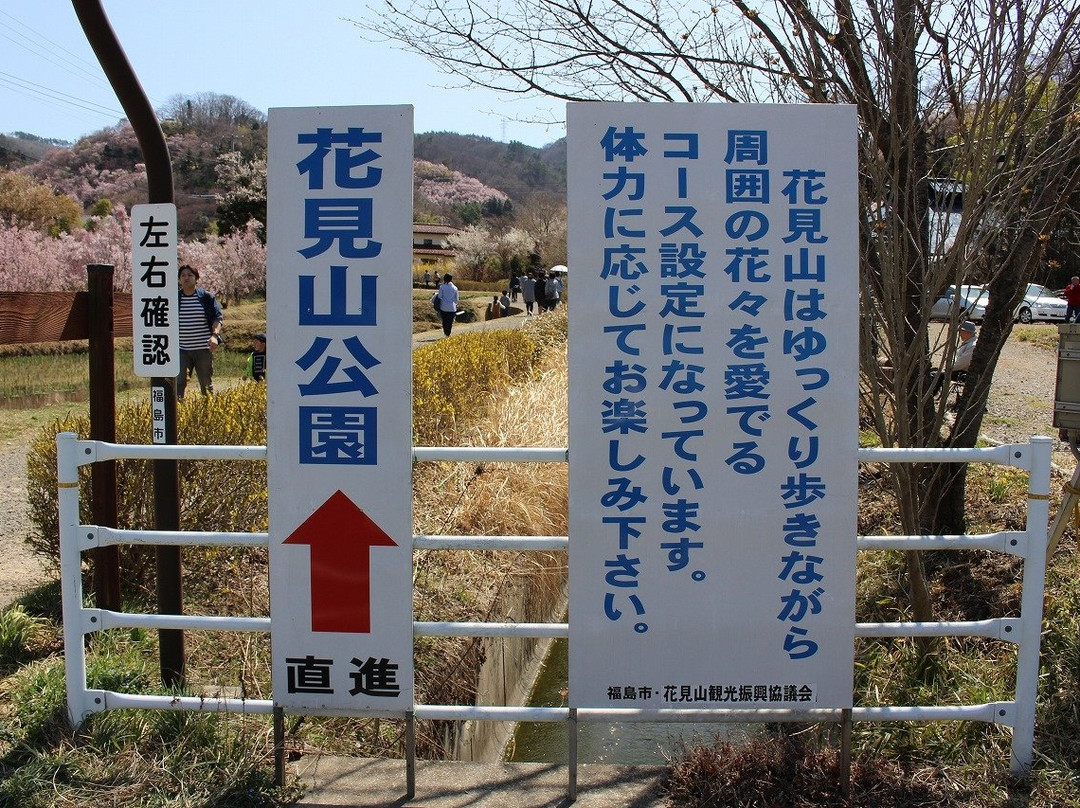 Hanamiyama Park景点图片