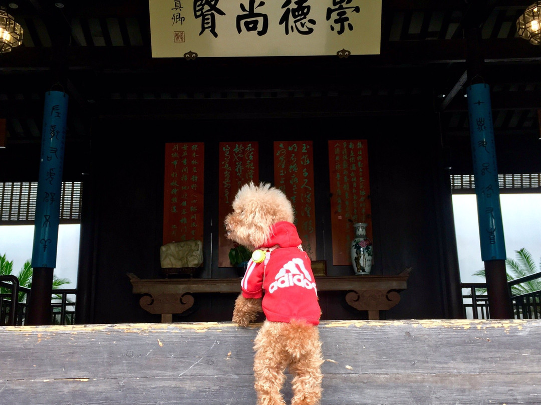 东山雕花楼景点图片