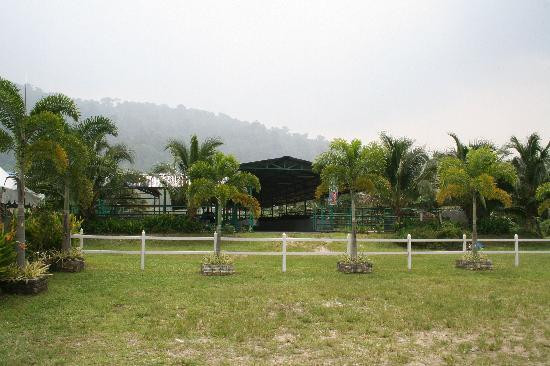 Buffalo Park Langkawi-兰卡威必去景点