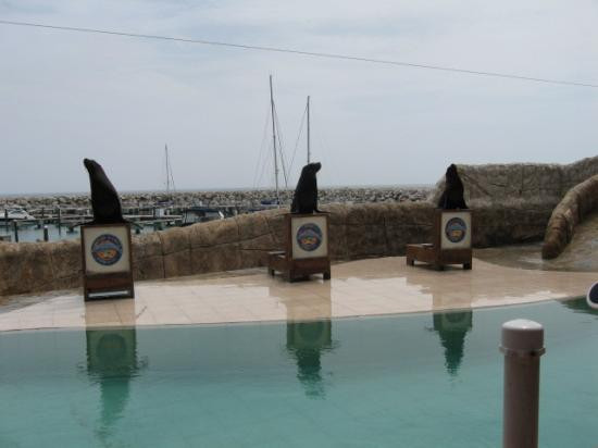 Ocean World Adventure Park, Puerto Plata-普拉塔港必去景点