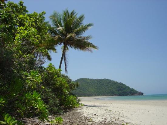 Daintree National Park-Cape Tribulation必去景点
