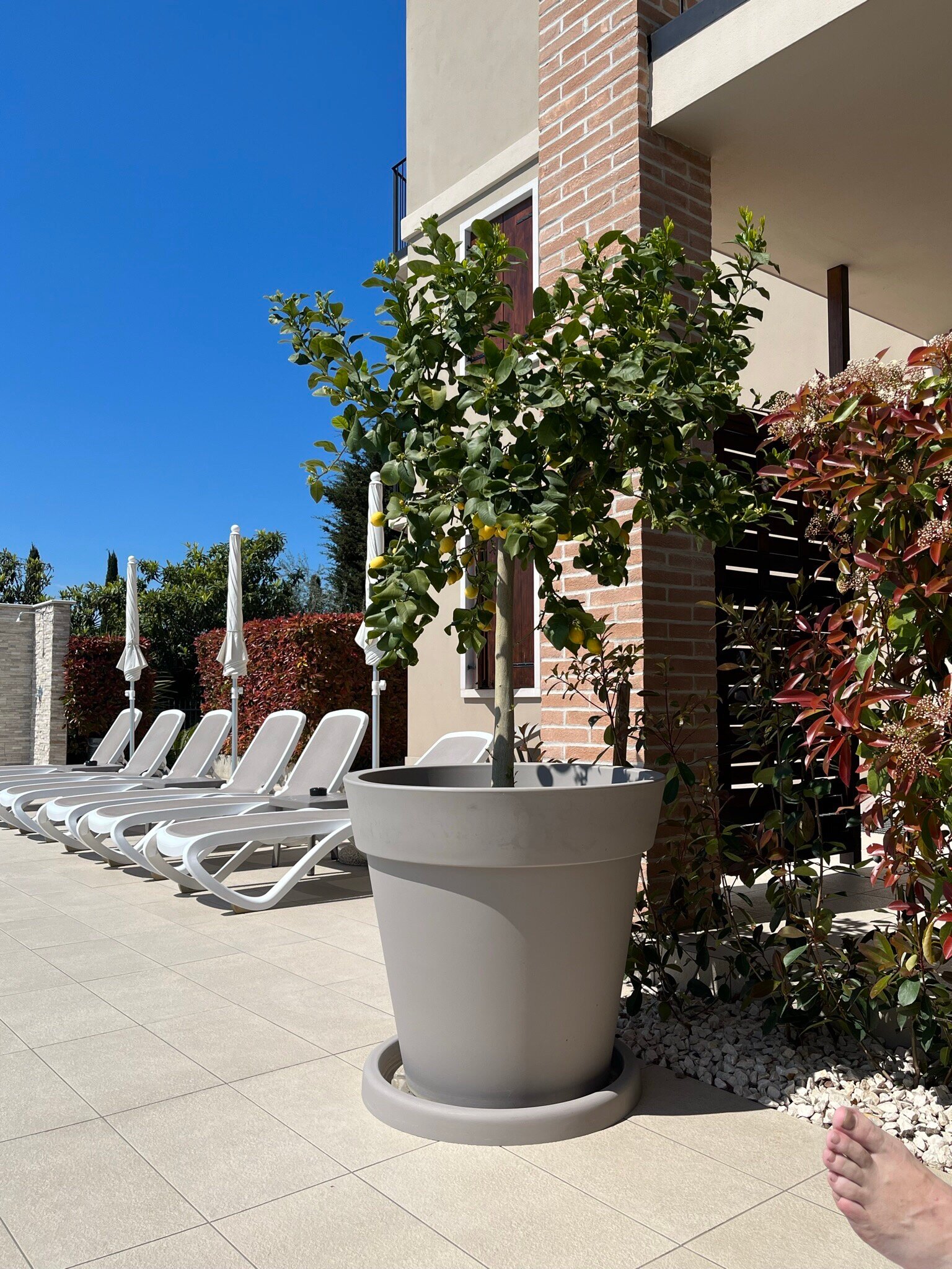 Hotel Relais agli Olivi-官方