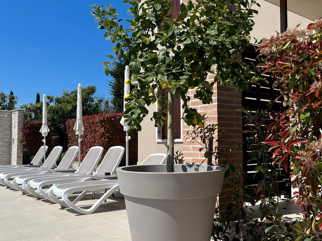 Hotel Relais agli Olivi主图
