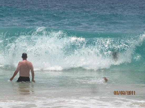 Madi Magical Tours-Santa Cruz必去景点