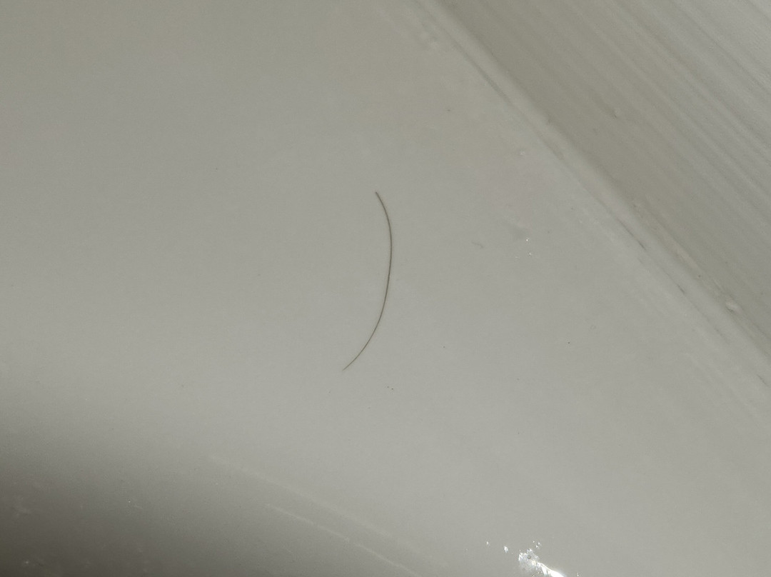 Holiday Inn Express Richmond-Mechanicsville by IHG主图