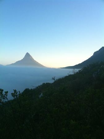 Table Mountain Walks-开普敦中心区必去景点