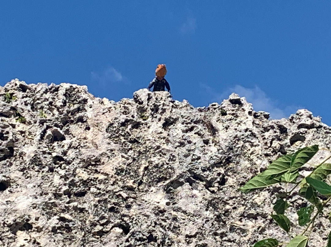 肯德尔酒店住宿-TownePlace Suites Miami Kendall West