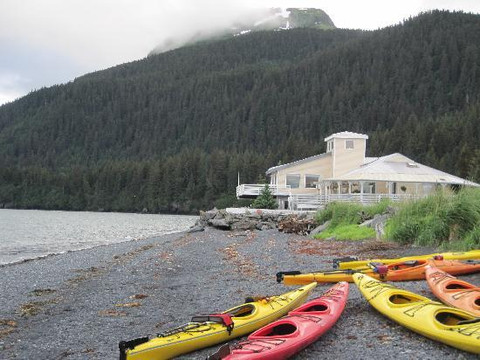 Sunny Cove Sea Kayaking-苏厄德必去景点