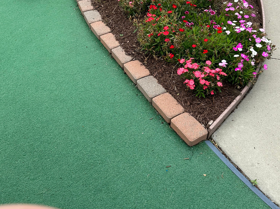 Longview Greens Miniature Golfing景点图片