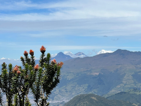 Ecuador a Color-基多必去景点