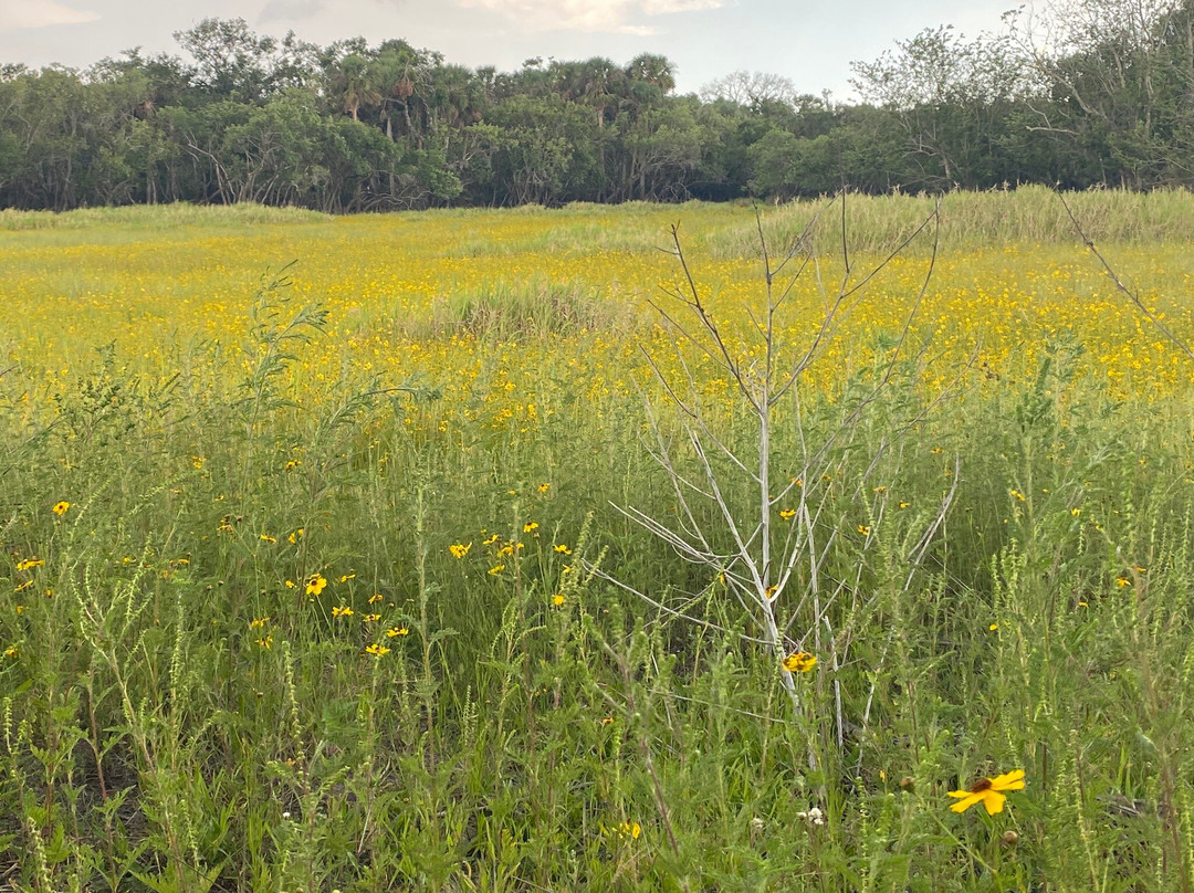 Myakka River State Park景点图片