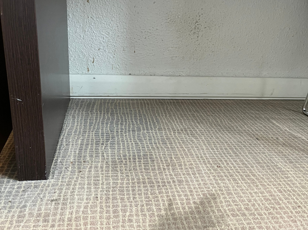 Novotel Caserta Sud主图